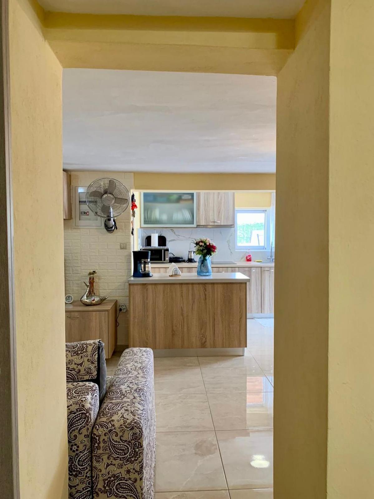 Sofia'S Seaview Villa Near Airport And Beach أرتيميدا المظهر الخارجي الصورة
