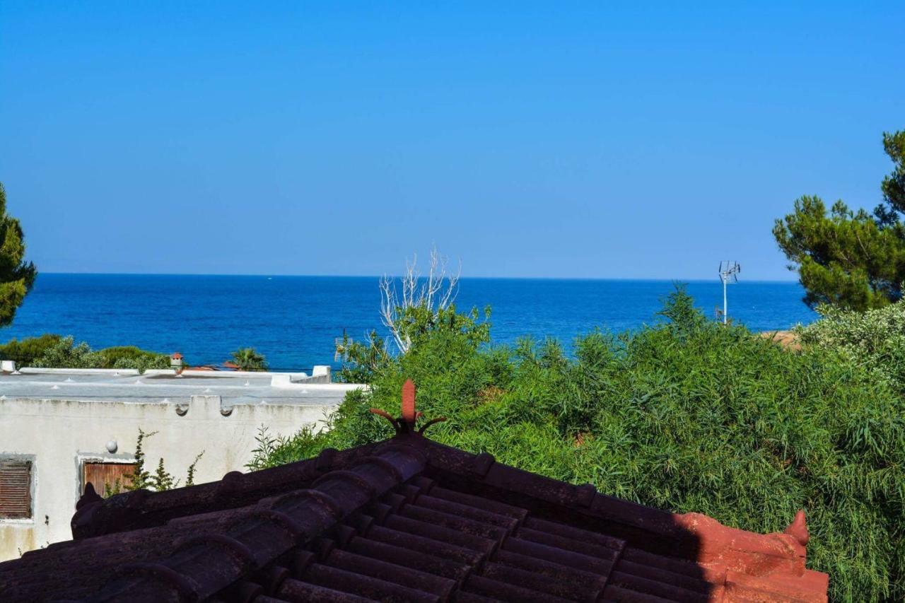 Sofia'S Seaview Villa Near Airport And Beach أرتيميدا المظهر الخارجي الصورة