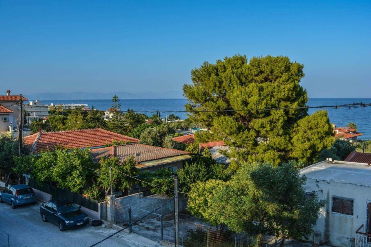 Sofia'S Seaview Villa Near Airport And Beach أرتيميدا المظهر الخارجي الصورة